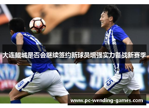 大连鲲城是否会继续签约新球员增强实力备战新赛季