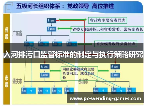 入河排污口监管标准的制定与执行策略研究