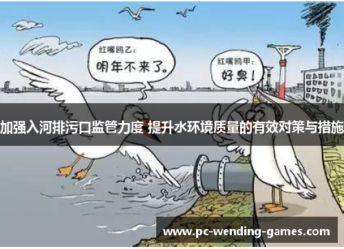 加强入河排污口监管力度 提升水环境质量的有效对策与措施