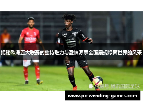 揭秘欧洲五大联赛的独特魅力与激情源泉全面展现绿茵世界的风采