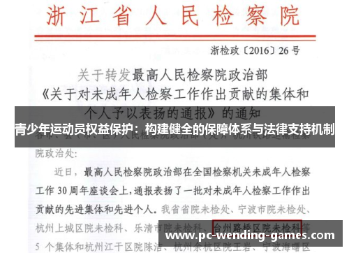 青少年运动员权益保护：构建健全的保障体系与法律支持机制