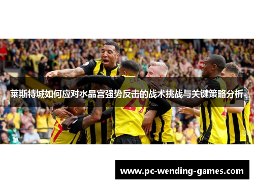 莱斯特城如何应对水晶宫强势反击的战术挑战与关键策略分析 莱斯特城如何应对水晶宫强势反击的战术挑战与关键策略分析