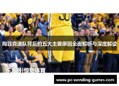 陶菲克退队背后的五大主要原因全面解析与深度解读